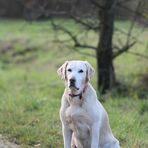 Sari ein blonder Traum