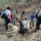 Sari und Pepper auf der Osterwanderung 2009