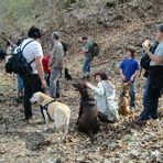 Sari und Pepper auf der Osterwanderung 2009