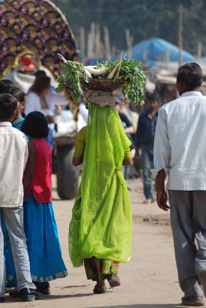 Saris Vert et Radis Blanc