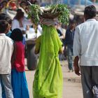 Saris Vert et Radis Blanc