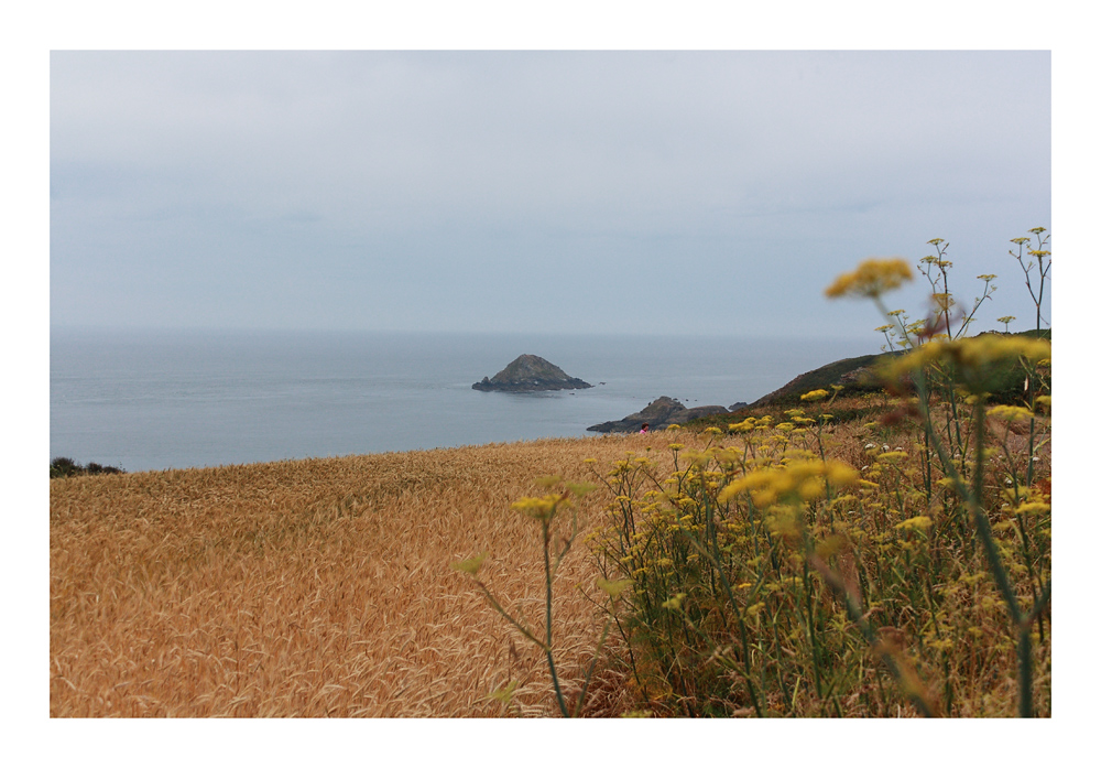 Sark-Impressionen August 2008