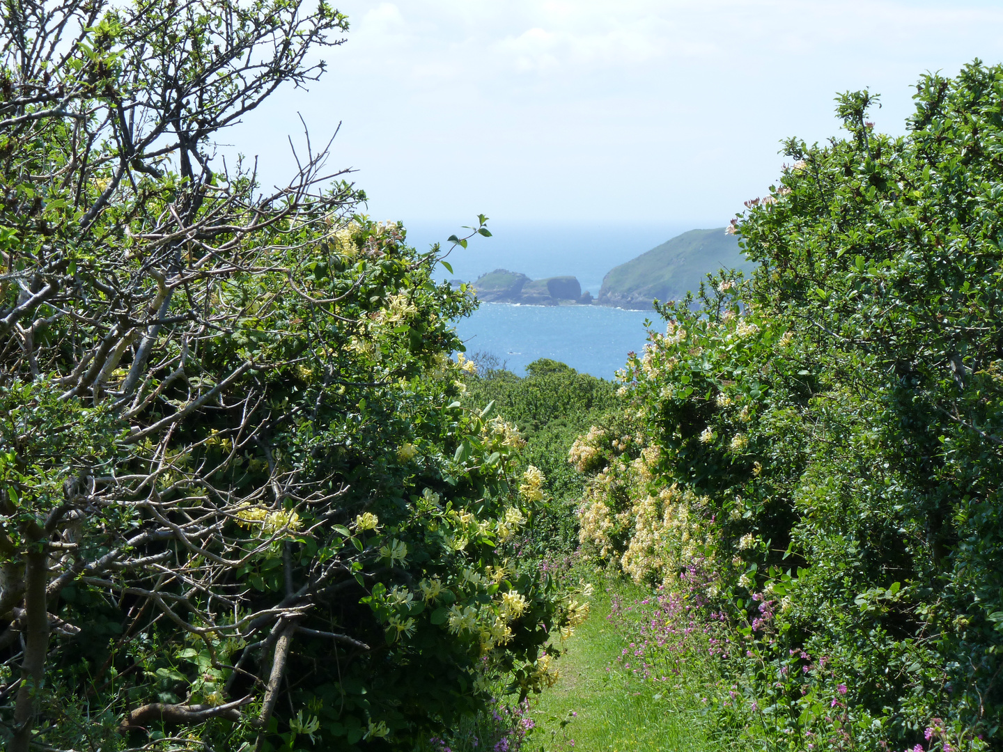 Sark / Küstenwanderung