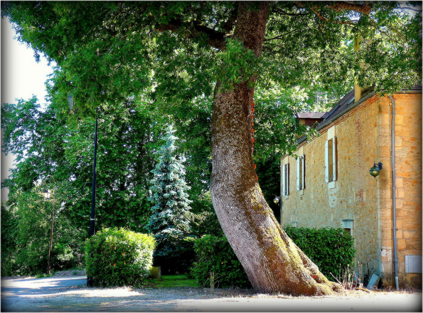 SARLAT -26 -