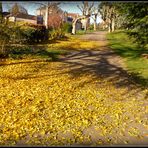 Sarlat en Automne 