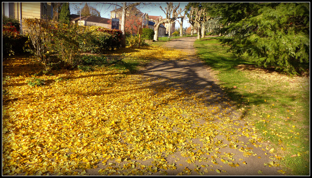 Sarlat en Automne 