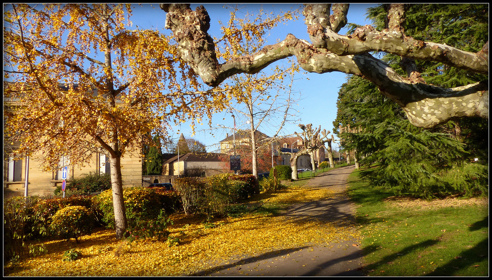 Sarlat en Automne 