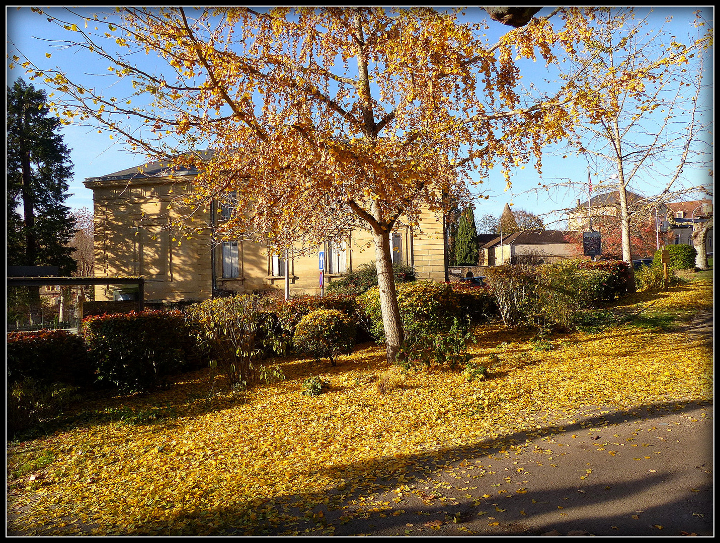 Sarlat en Automne 