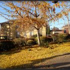 Sarlat en Automne 