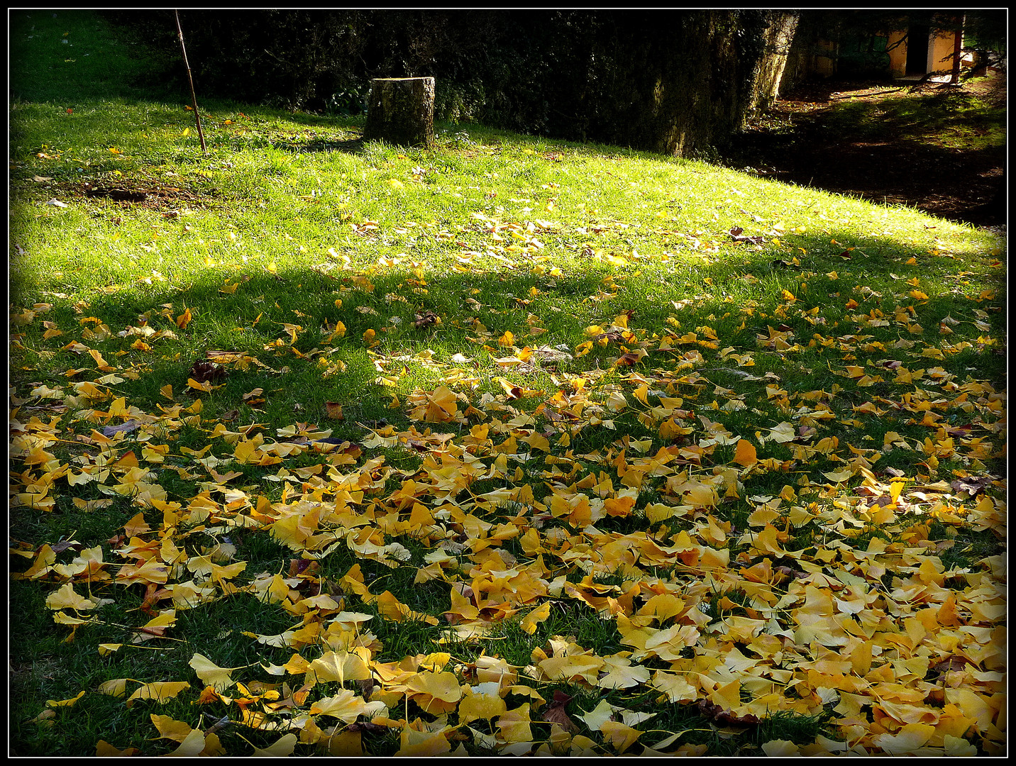 Sarlat en Automne 