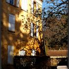 Sarlat en Automne 