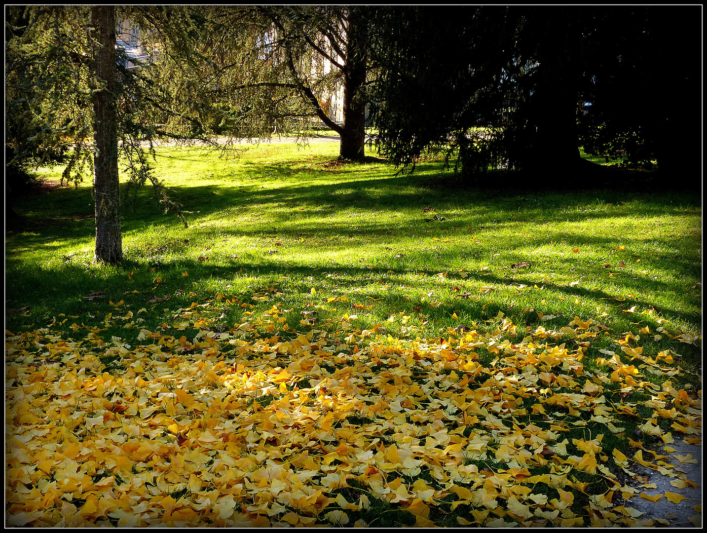 Sarlat en Automne