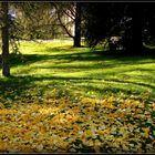 Sarlat en Automne