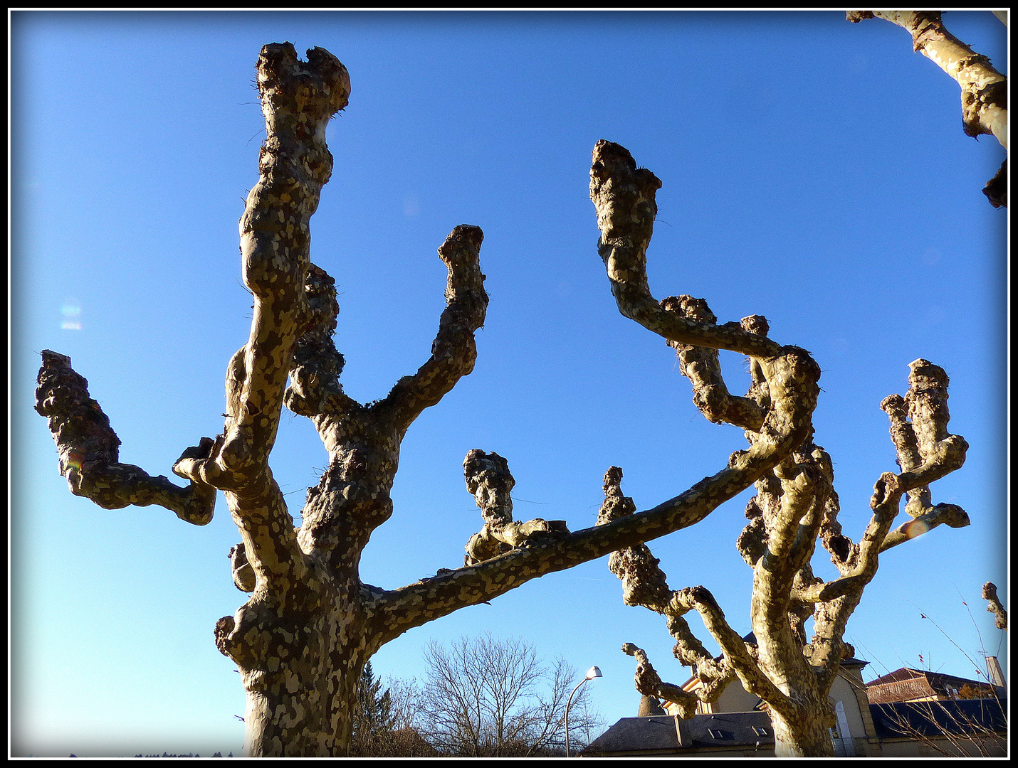 Sarlat en Hiver