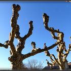 Sarlat en Hiver