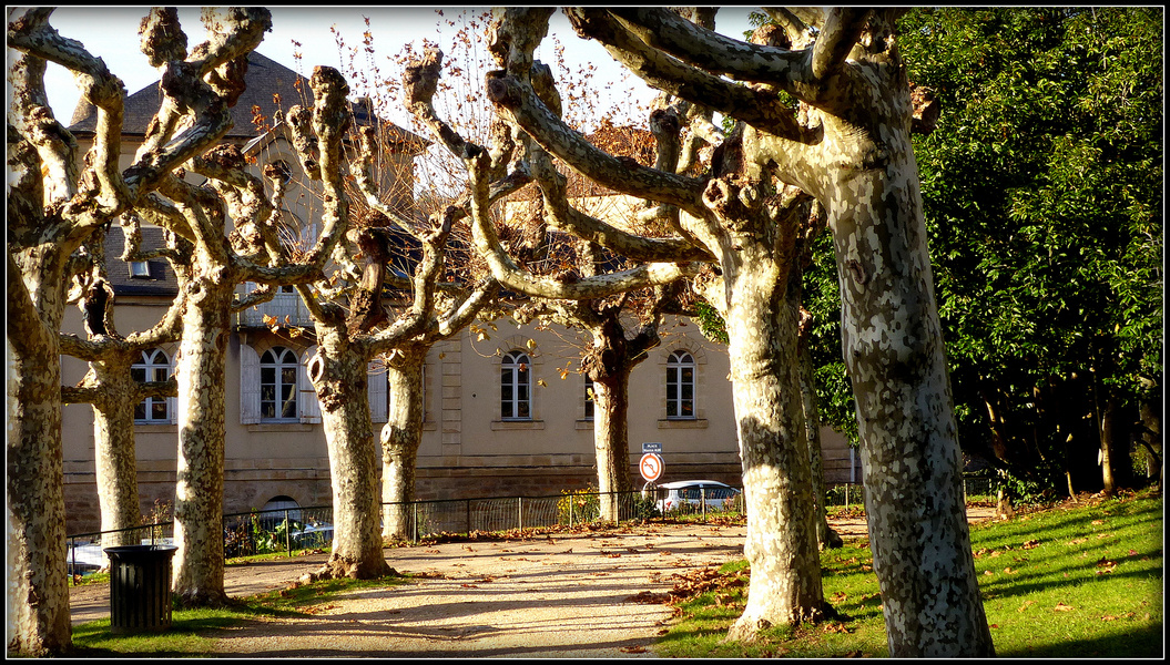 Sarlat en hiver 