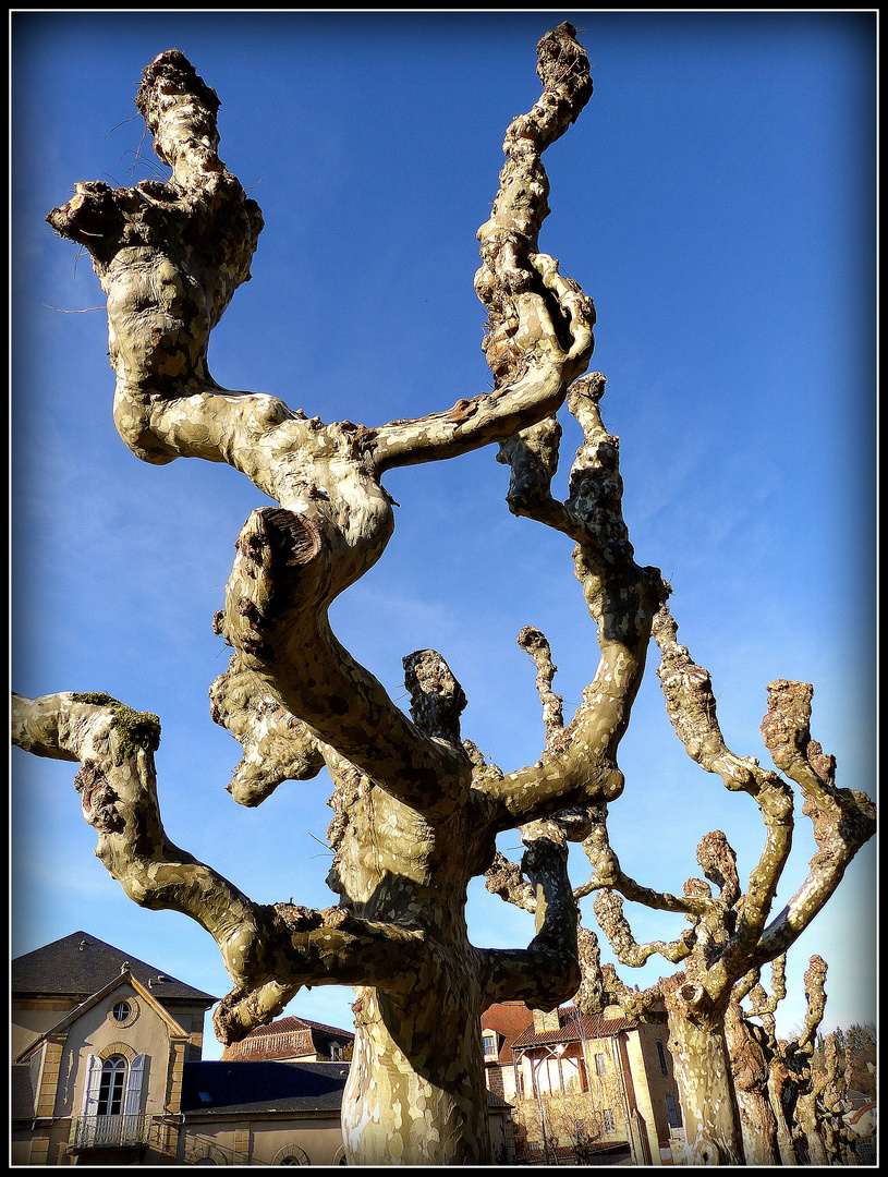 Sarlat en hiver 