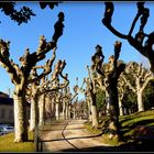 Sarlat en hiver 