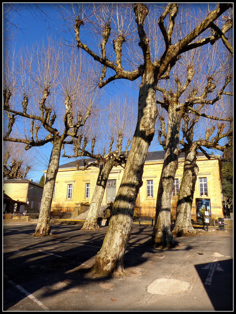 Sarlat en hiver 