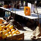 SARLAT et environs - 34 -