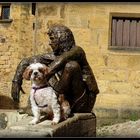 SARLAT - Fête de l'Oie 