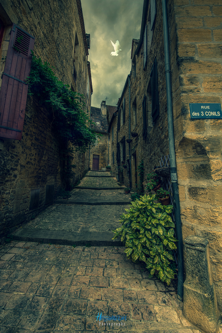 Sarlat Streets 