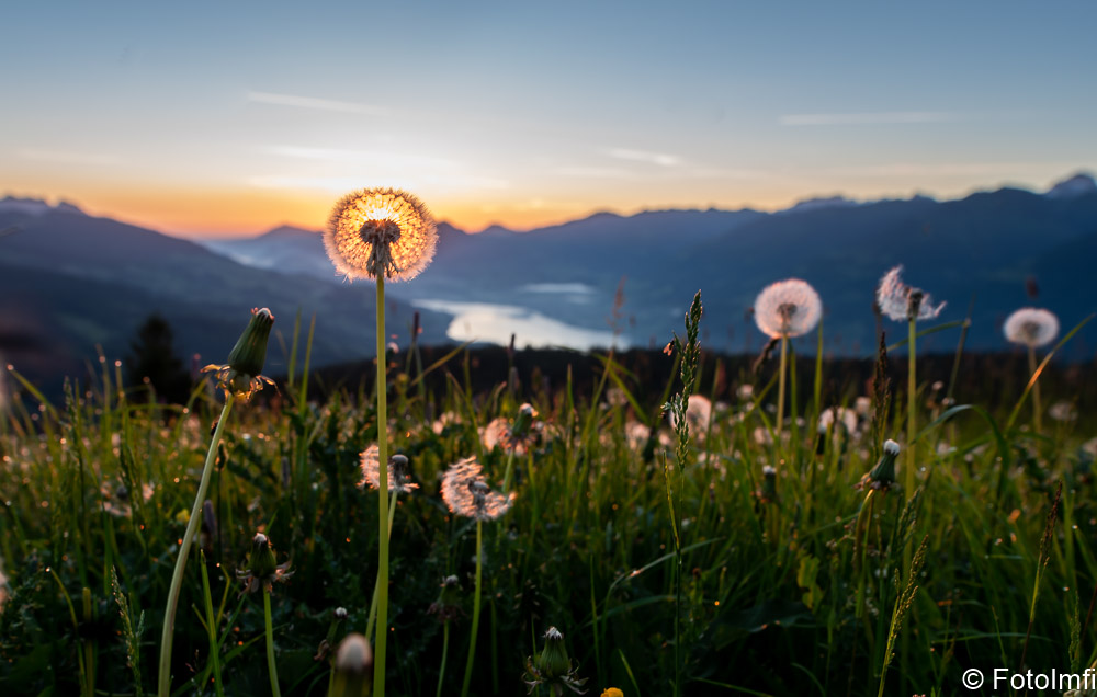 Sarneraatal,Mörlialp,Sonnenaufgang,OW-33