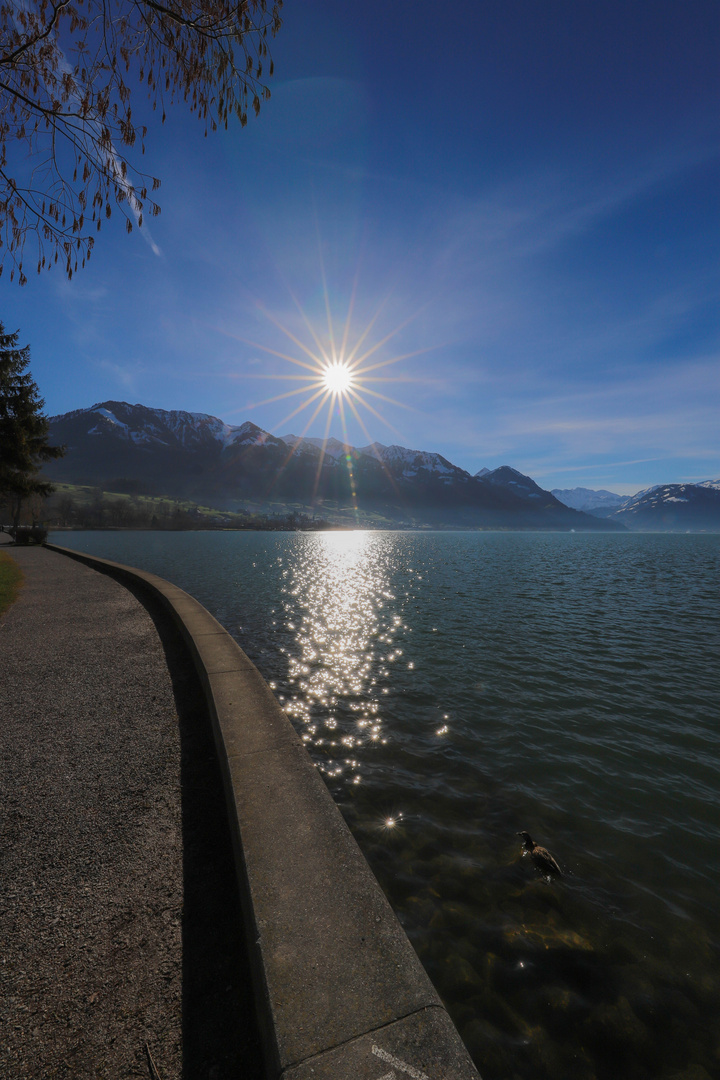 Sarnersee Jan. 2018