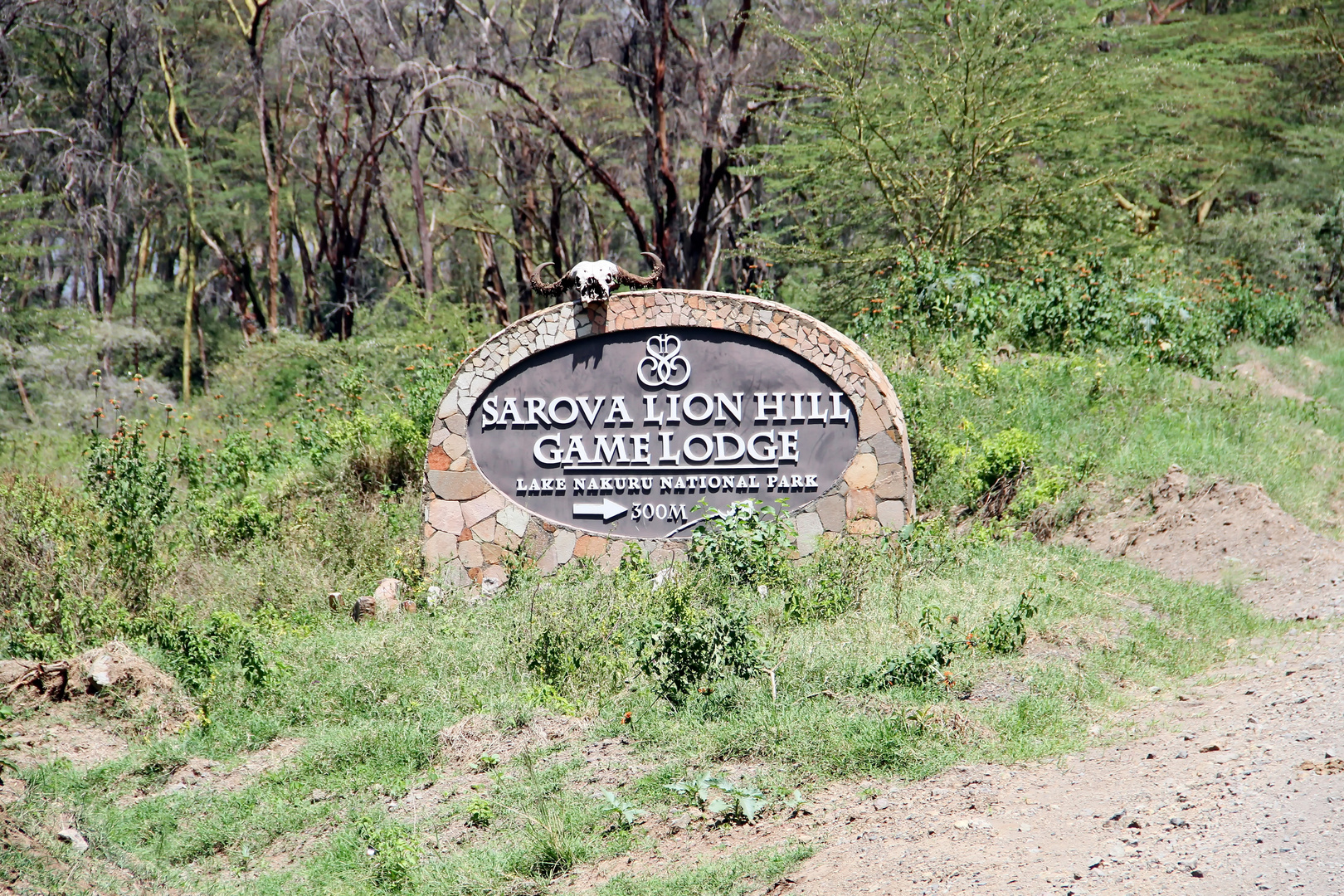 Sarova Lion Hill Game Lodge 