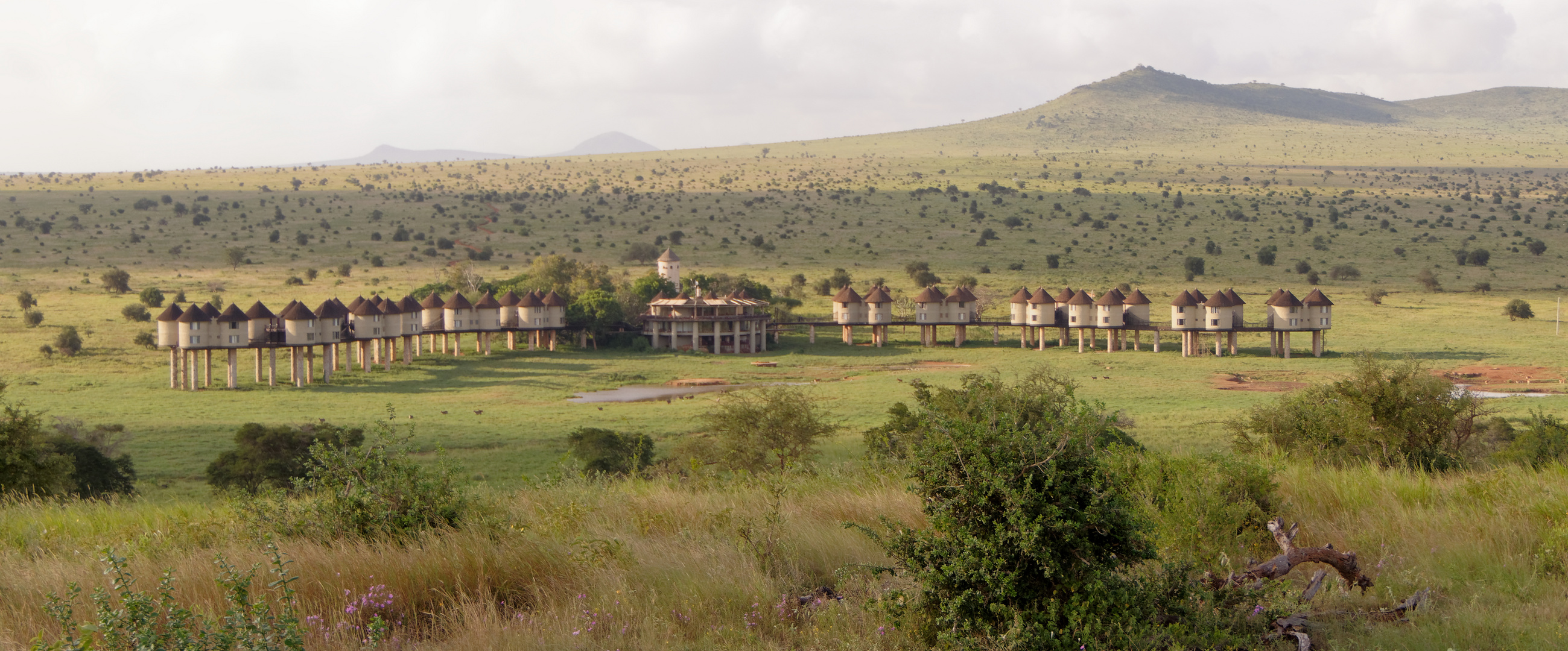 Sarova Salt Lick Lodge