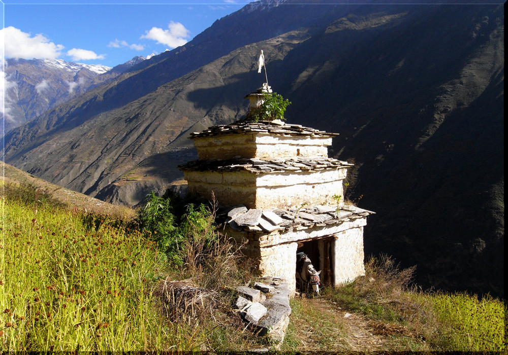 Sartara - Tibet