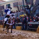 Sartiglia 2014 Oristano