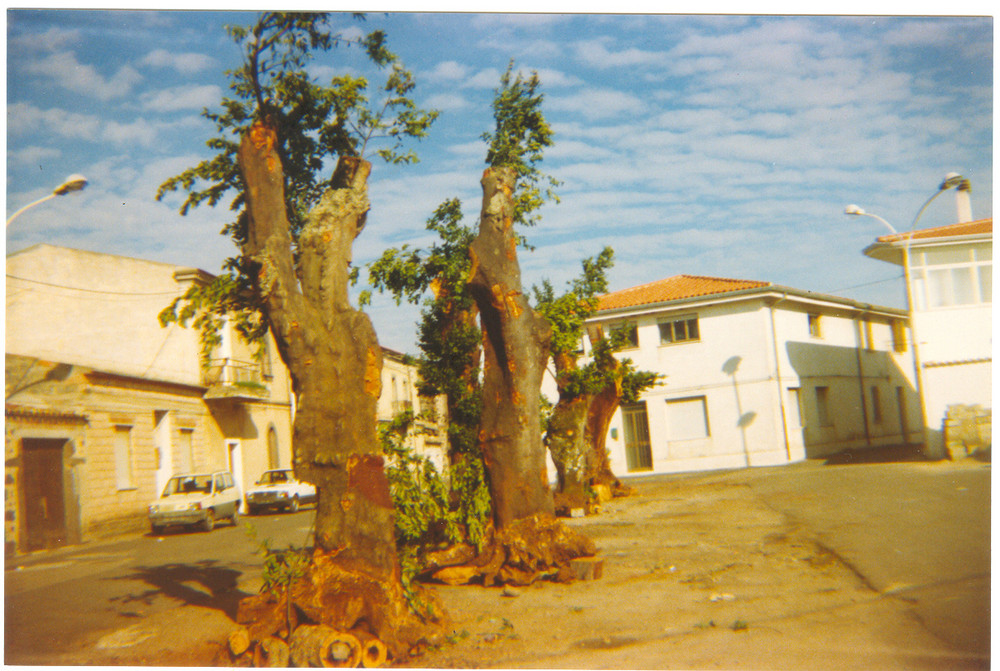 Sas Tuvas de Sant'Antoni ( i ceppi di s. Antonio )