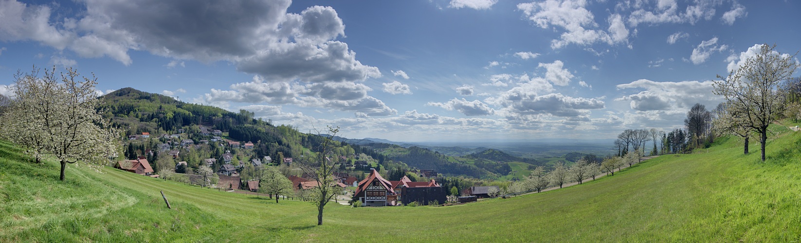 Sasbachwalden Panorama