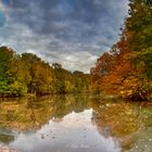 Saseler Mühlenteich