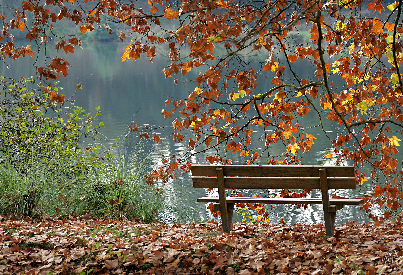 S'asseoir et admirer l'automne .....