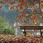 S'asseoir et admirer l'automne .....