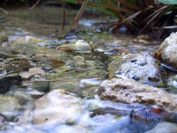 Sassi e acqua