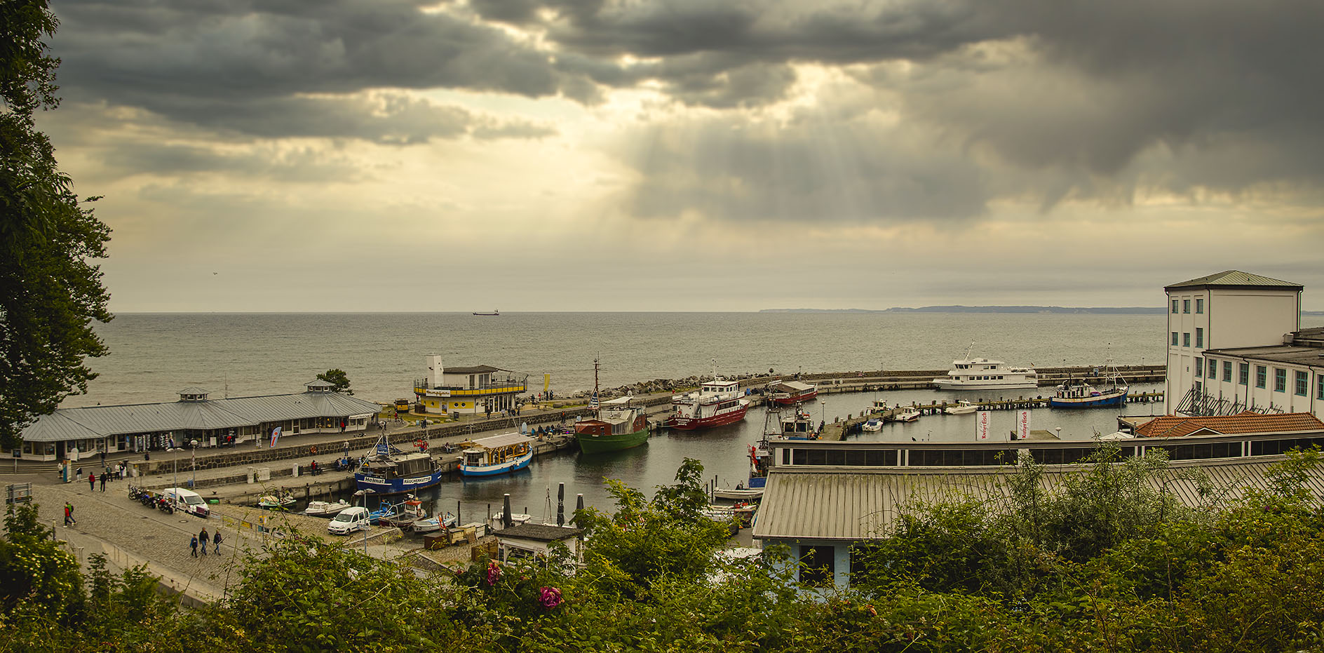 Sassnitz Fischerrei-Hafen_MG_4133