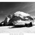 Sasso Piatto - Saiser Alm - Dolomiti