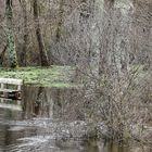 s'assoir les pieds dans l'eau