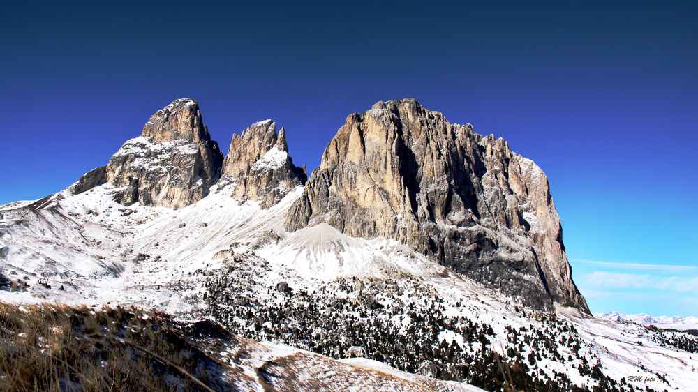 " Sassolungo / Langkofel "