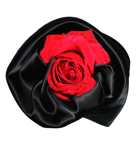 Satin-Rose