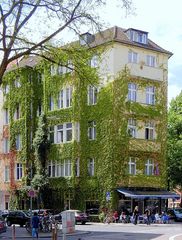 Satt begrüntes Haus in Köln