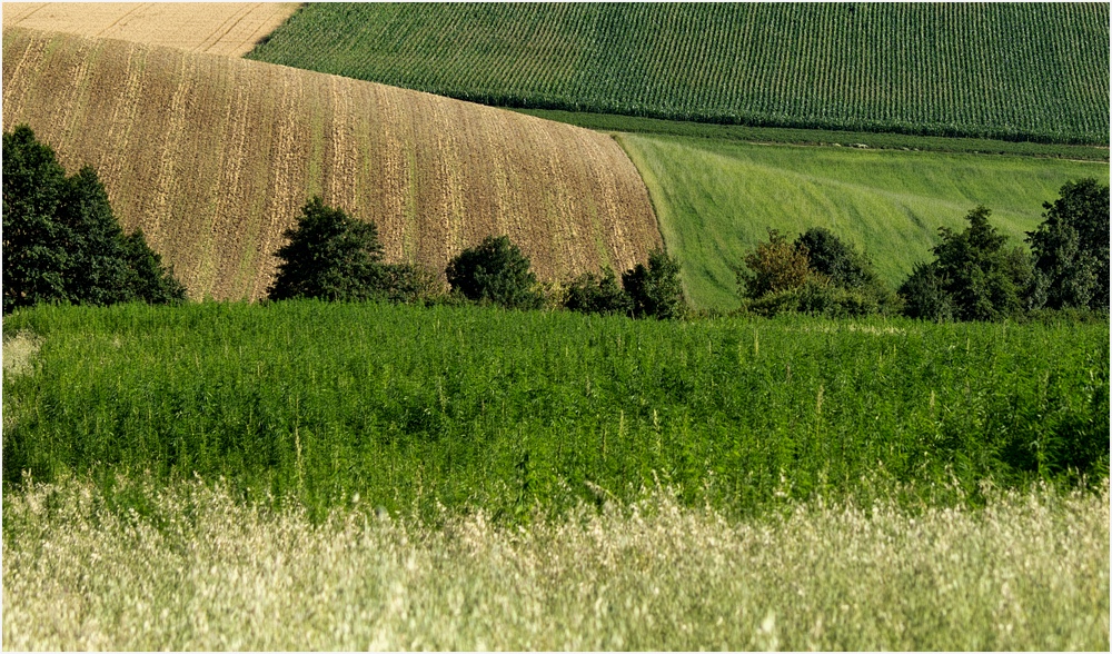 satt-gemütlich