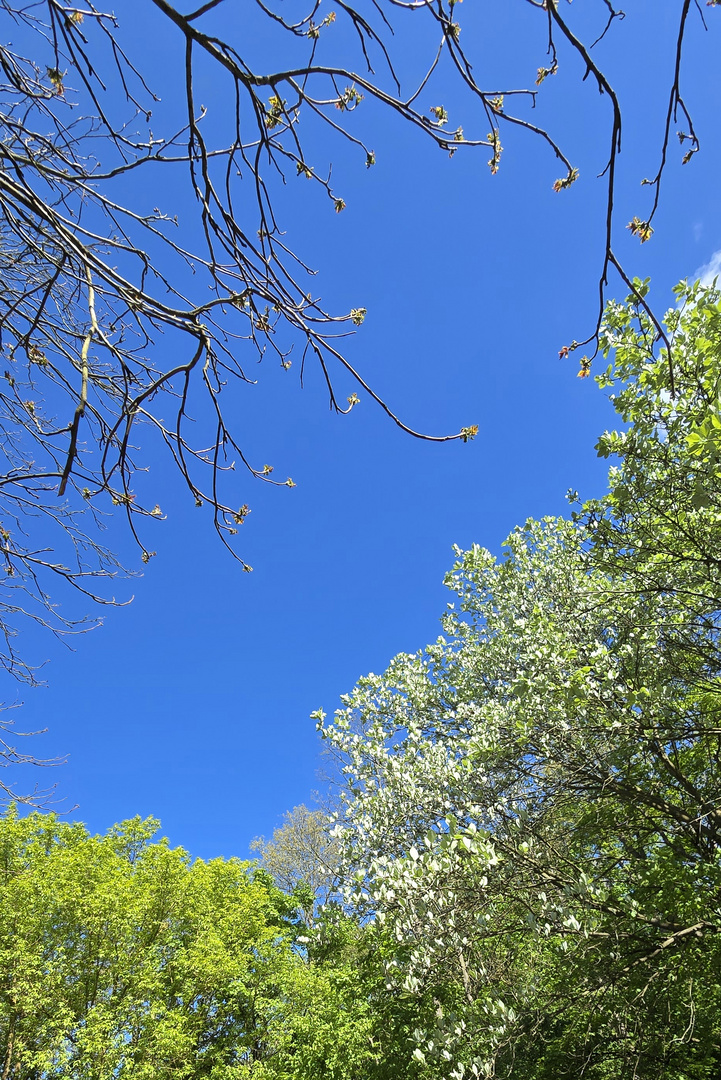 Satt Grün - Satt Blau :-) 