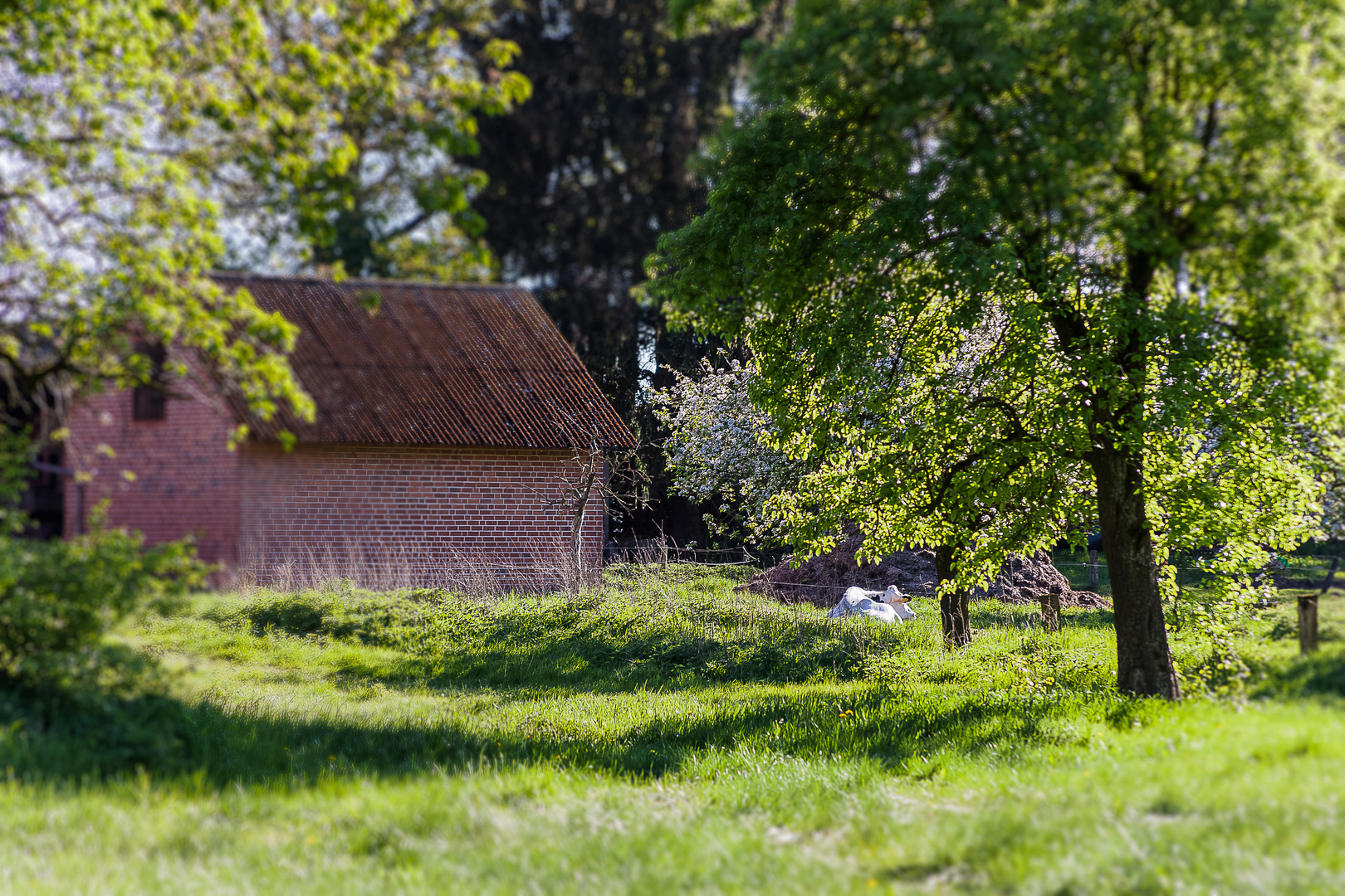 Satte Frühlingsfarben in ländlicher Idylle