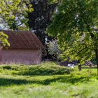 Satte Frühlingsfarben in ländlicher Idylle