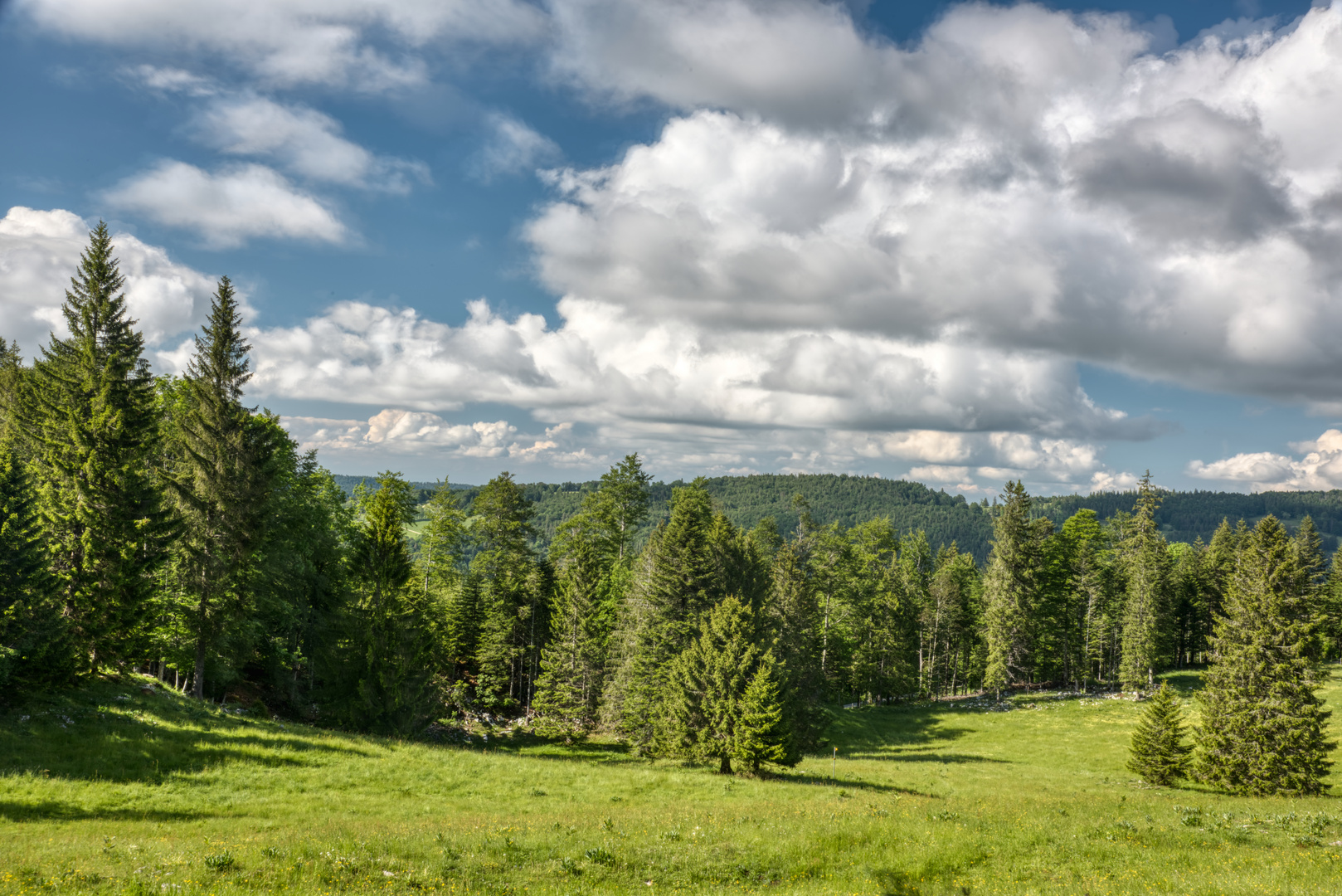 Satte Landschaft