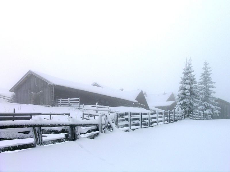 Sattelberg-Alm